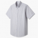 Men's Short Sleeve Shirt White Purple Lines Cotton
